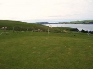 The first green looking toward Aramoana