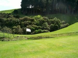 tricky third green