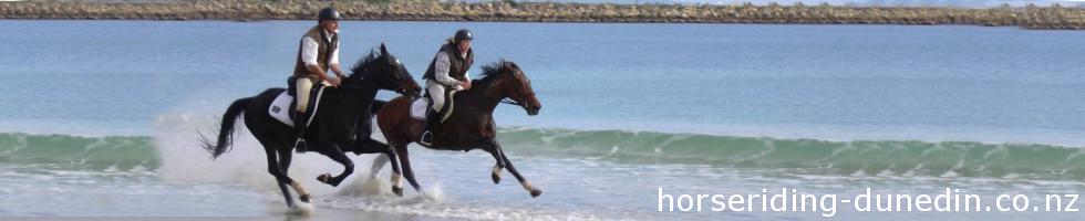 Hare Hill Horse Treks